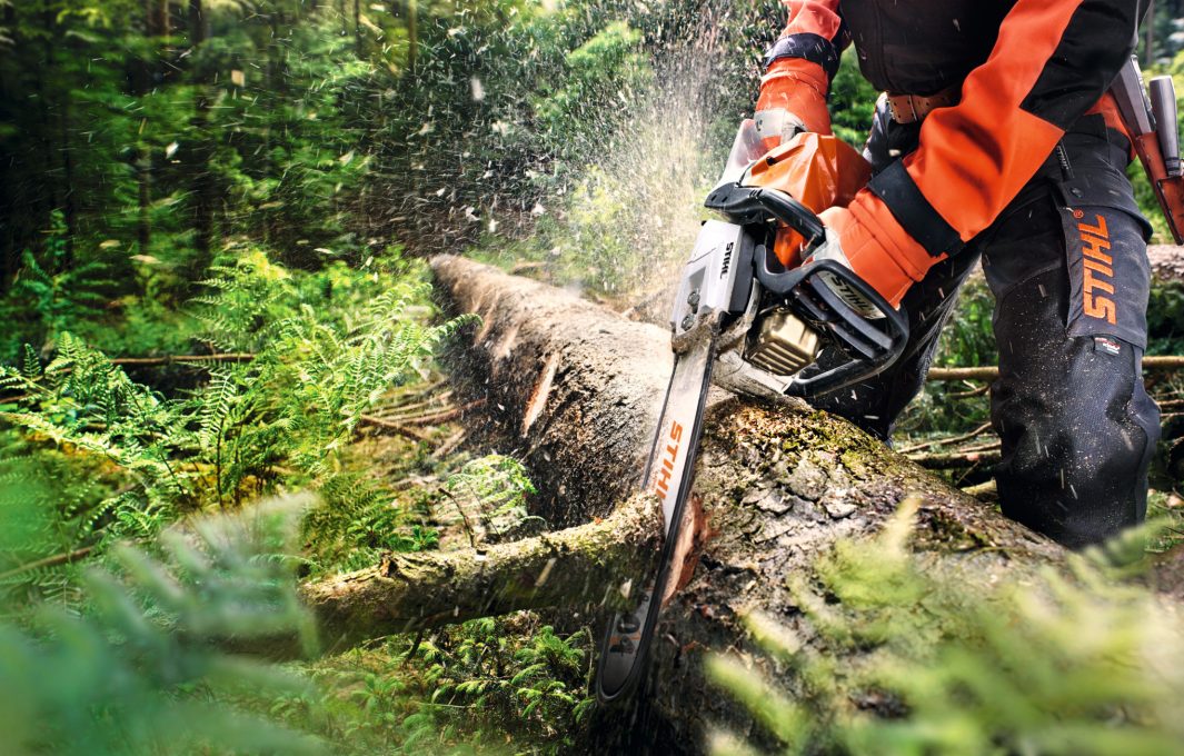 DIe Kettensäge beim Schneiden eines liegenden Holzstammes