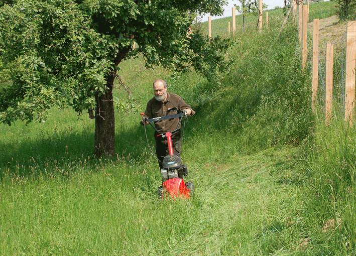 Der Balkenmäher mit Bediener beim Mähen von hohem Gras von einer Wiese